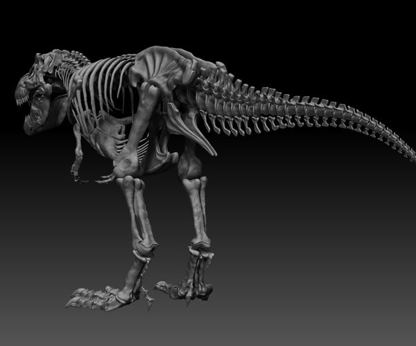 ArtStation - Sub Tyrannosaurus Rex Full Skeletons - SubRex Sculpt ...