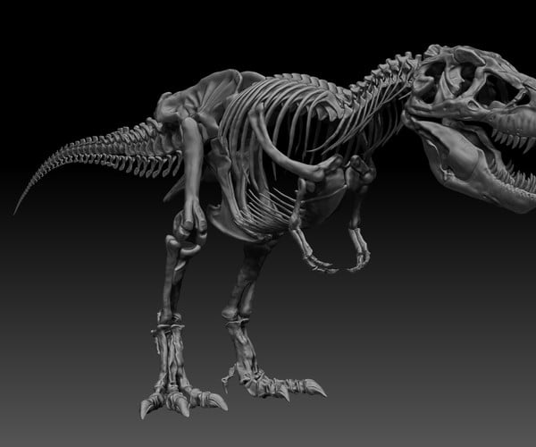 ArtStation - Sub Tyrannosaurus Rex Full Skeletons - SubRex Sculpt ...