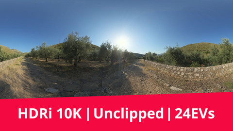 HDRI - Trail, Trees And Mountains