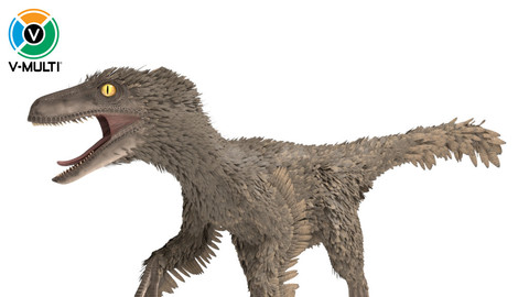 3D Model: Velociraptor Rigged Feathered