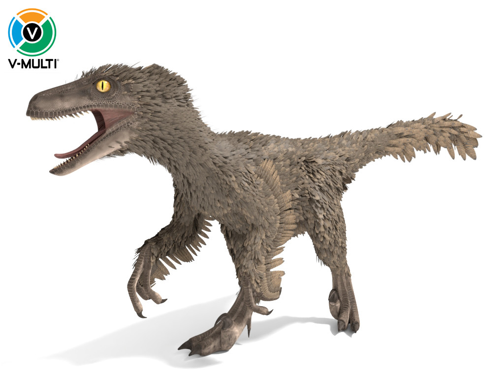 velociraptor had feathers