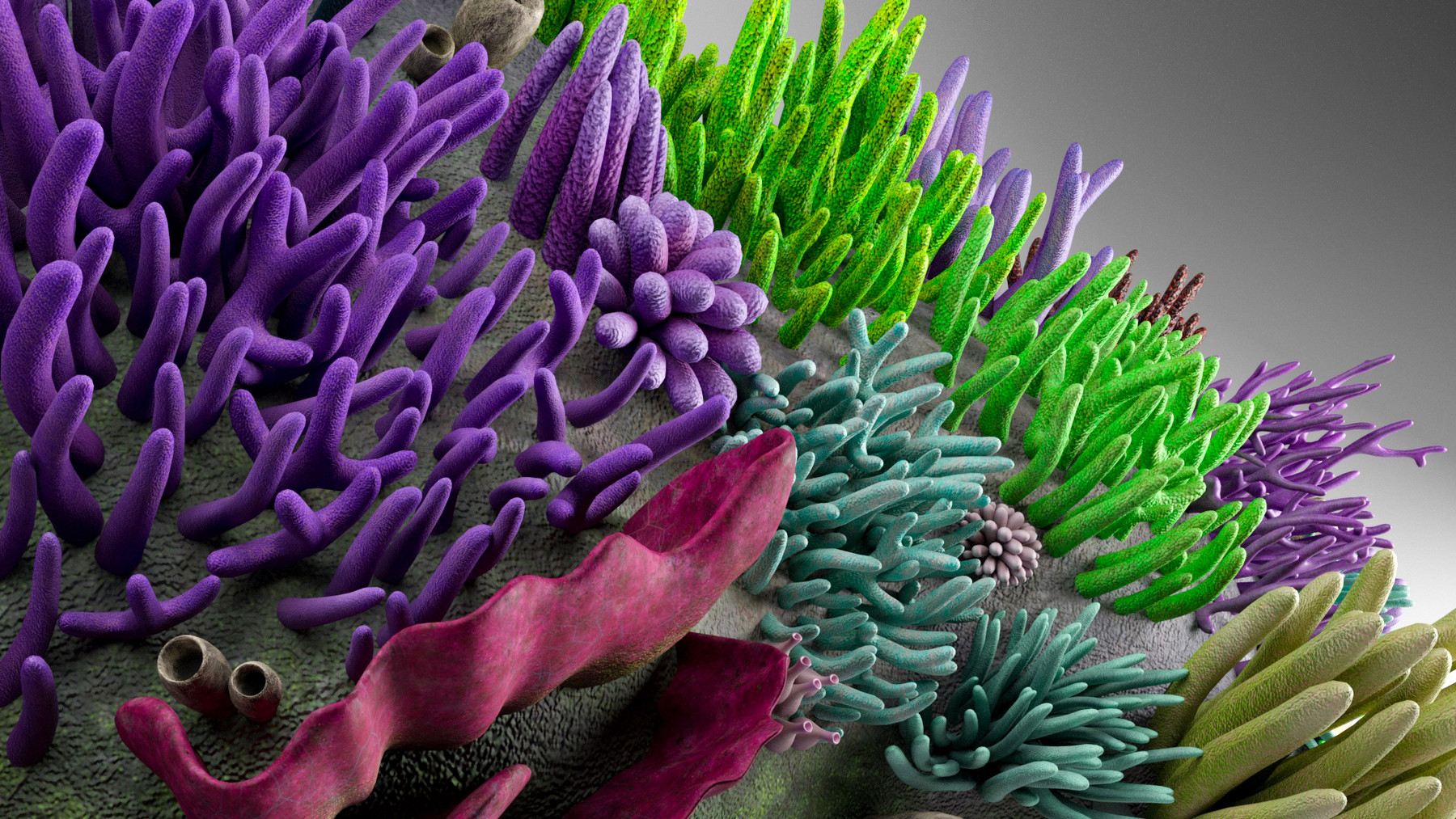 ArtStation - 3D Underwater Ocean Coral Reef | Resources