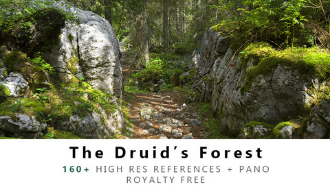 The Druid's Forest Texture PACK