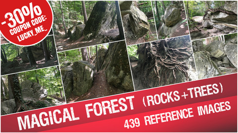 Magical Forest ( Rocks + Trees + Roots ) - Reference Images Pack