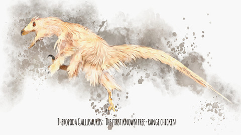 Theropoda Gallusaurus: The First Known Free-Range Chicken
