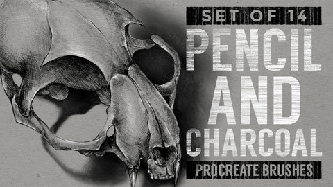 Pencil and Charcoal Procreate Brushes