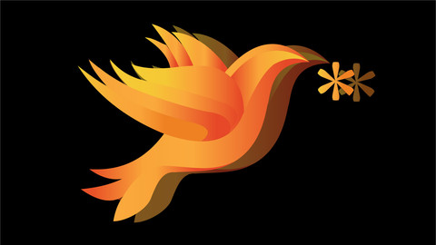 Graphic Designs Vector Tracing