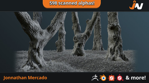 JM - Treebark Photogrammetry Alpha Set