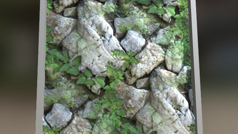 Rocks and Plants Texture