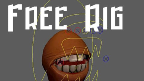 Mouth Rig