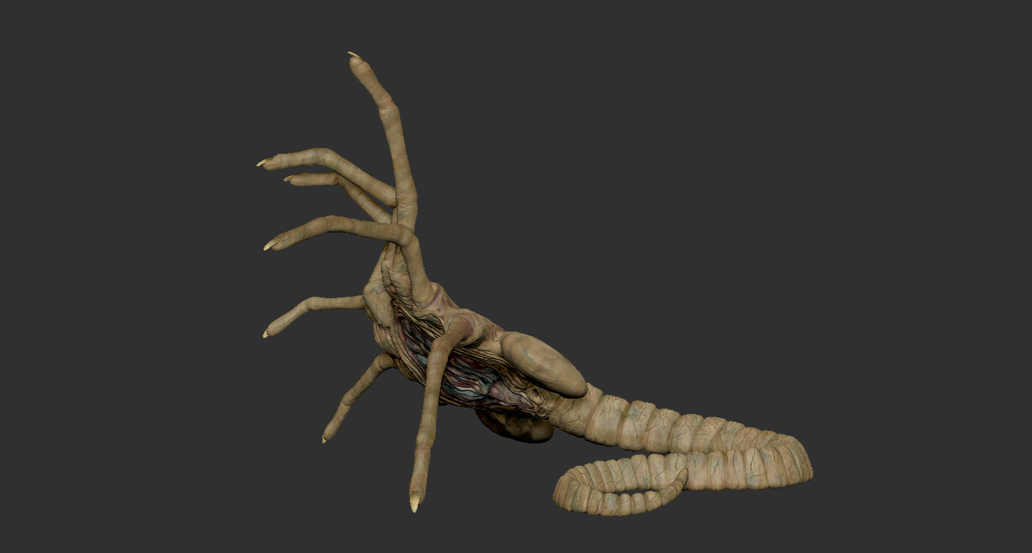 ArtStation Facehugger, high resolution 3D model. Game Assets