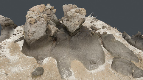 Photoscan_Beach Rock_0025_only HighPoly Mesh (16K Texture)