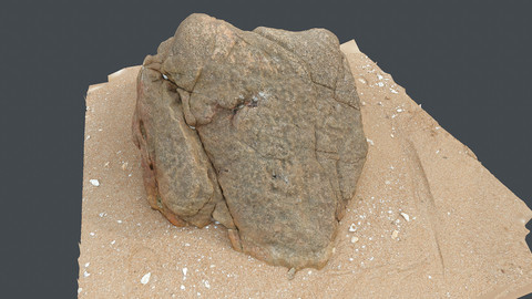 Photoscan_Beach Rock_0028_only HighPoly Mesh (16K Texture)