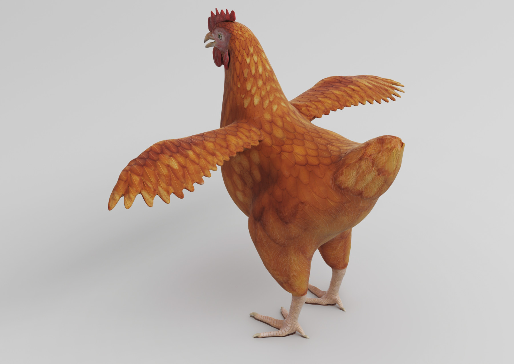 ArtStation - Chicken anatomy in T-pose for rigging
