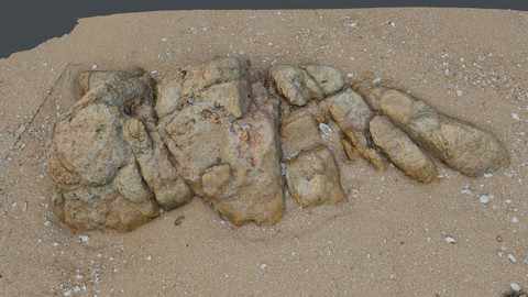 Photoscan_Beach Rock_0031_only HighPoly Mesh (16K Texture)