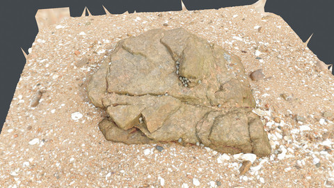 Photoscan_Beach Rock_0040_only HighPoly Mesh (16K Texture)