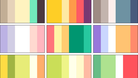 Color Palette 4 for Clip Studio Paint and Ex
