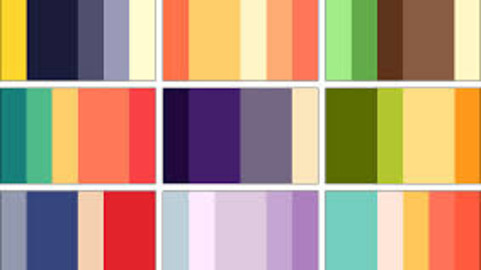 Color Palette 6 for Clip Studio Paint and Ex