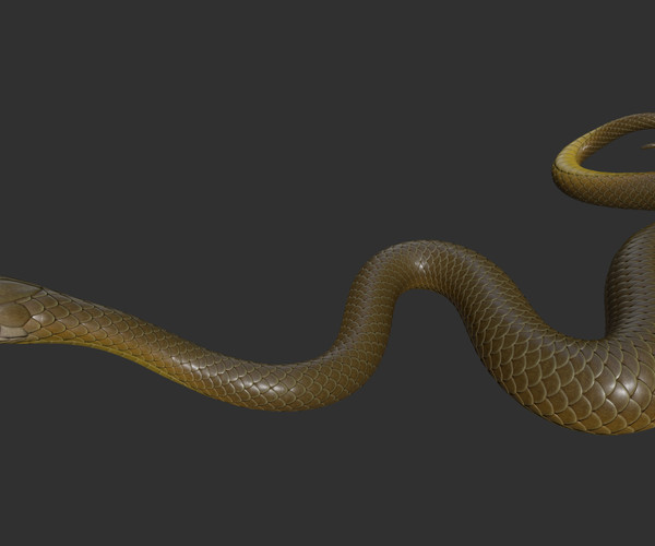 ArtStation - Snakes TTH tools | Resources