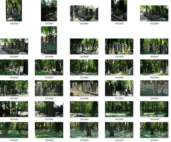 ArtStation - Overgrown Cemetery - 160+ Reference pictures | Resources
