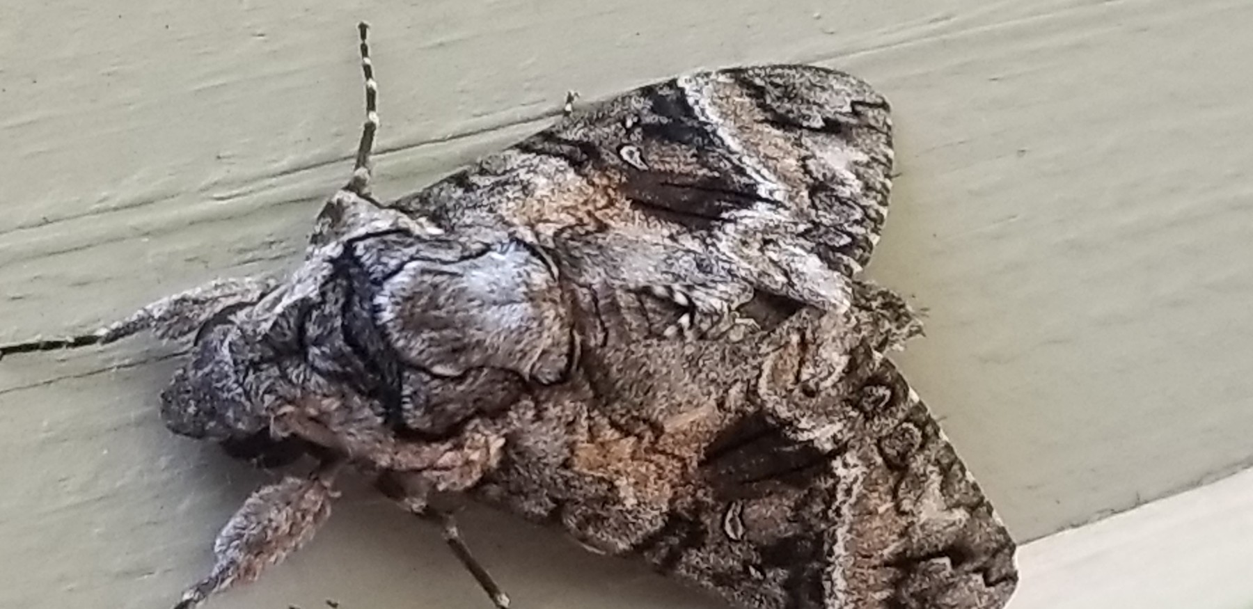 ArtStation Outside Ref Pack Resources