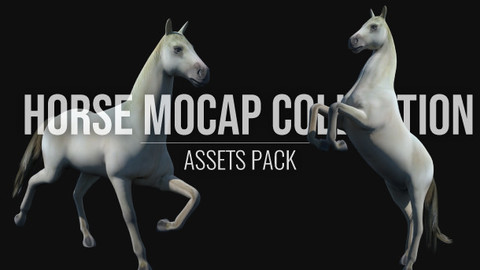 Horse Mocap Collection