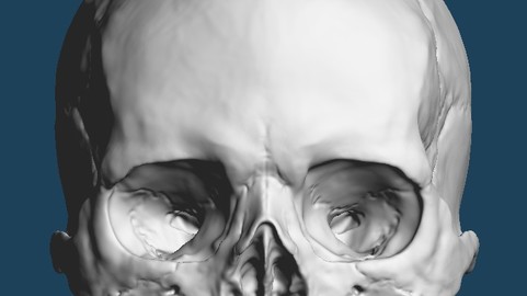 Skull head