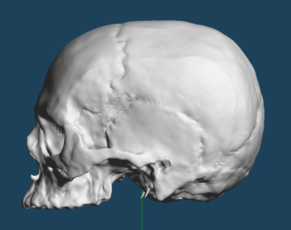 ArtStation - Skull head | Resources