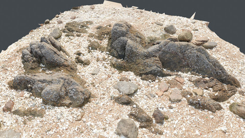 Photoscan_Beach Rock_0053_only HighPoly Mesh (16K Texture)