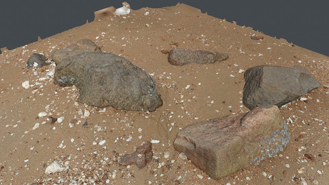 Photoscan_Beach Rock_0054_only HighPoly Mesh (16K Texture)