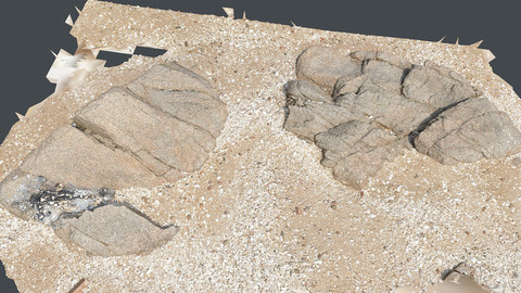 Photoscan_Beach Rock_0057_only HighPoly Mesh (16K Texture)