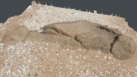 Photoscan_Beach Rock_0059_only HighPoly Mesh (16K Texture)