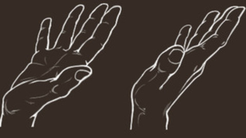 Hand - Open Palm - Cheat Brushes Pack