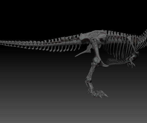 ArtStation - Adult Tyrannosaurus Rex Complete Skeletons - TREX SUE ...