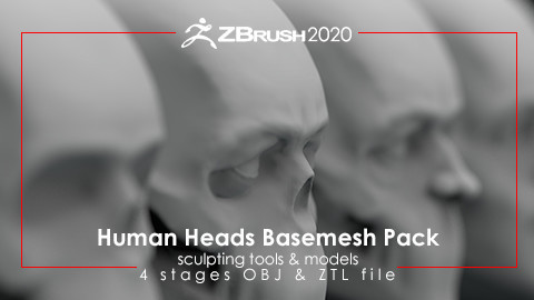 Human Heads Basemesh Pack