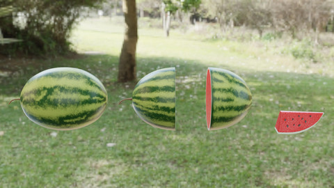 Watermelon  3D Model