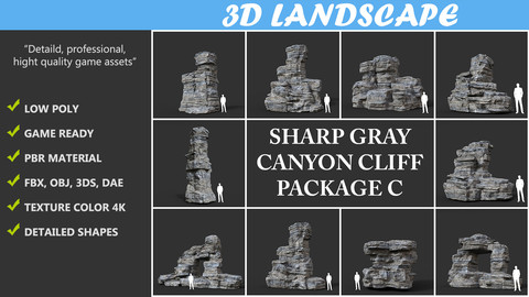 Low poly Gray Cliff Rock 2020 Package C