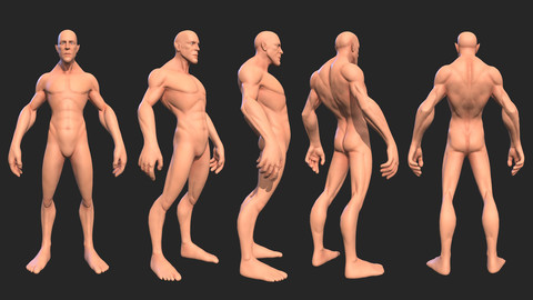 Character - Creature Male Body Base