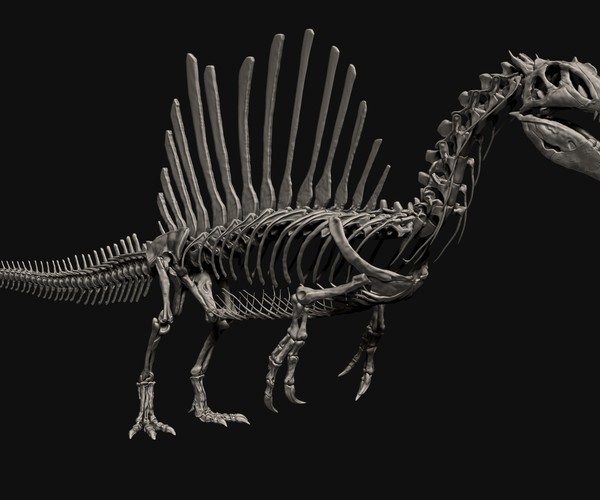 ArtStation - Spinosaurus Full Skeleton Sculpt Model | Game Assets