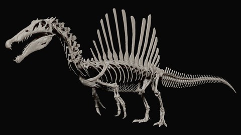 Spinosaurus Full Skeleton Sculpt Model