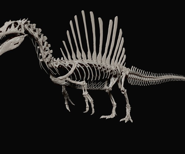 ArtStation - Spinosaurus Full Skeleton Sculpt Model | Game Assets