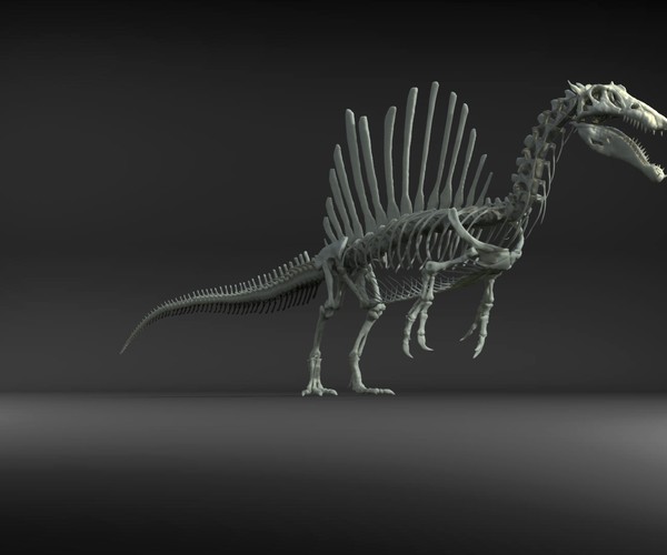 ArtStation - Spinosaurus Full Skeleton Sculpt Model | Game Assets