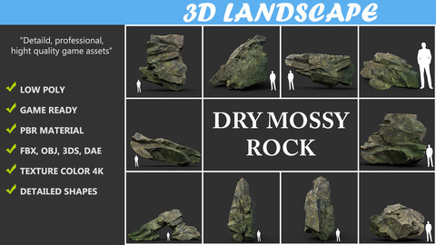 Low poly Dry Mossy Rock Formation Pack 200207