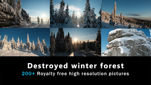 Destroyed Winter Forest