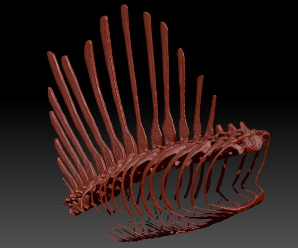 spinosaurus skeletons