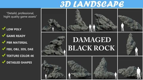 Low poly Damaged Black Rock Pack A-190430