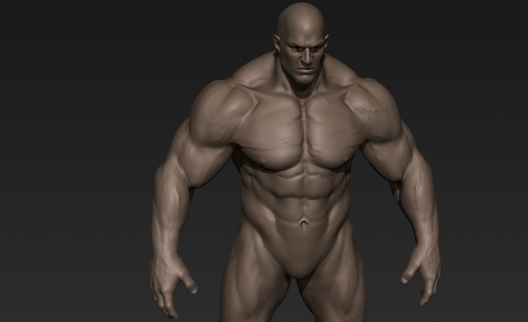 【人体模型】KIKKERLAND 3D MUSCLE MAN 人体模型】KIKKERLAND 3D MUSCLE MAN 3D Anatomic Puzzle Muscle