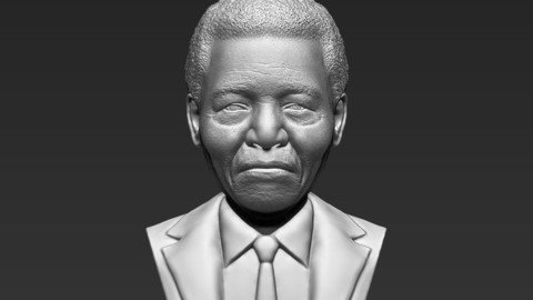 Nelson Mandela bust 3D printing ready stl obj