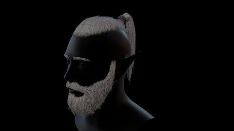 Hair tail beard