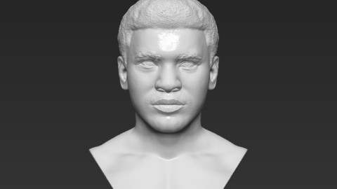 Muhammad Ali bust 3D printing ready stl obj